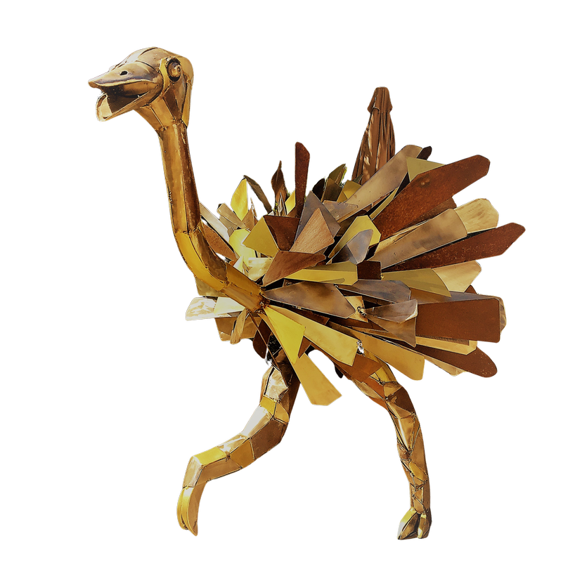 Autruche 2 – AMupcycling