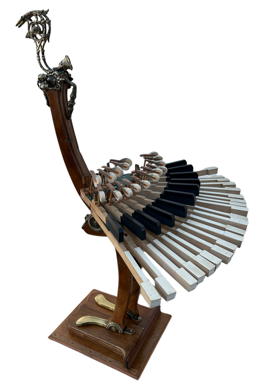 Piaseau espèce disparue