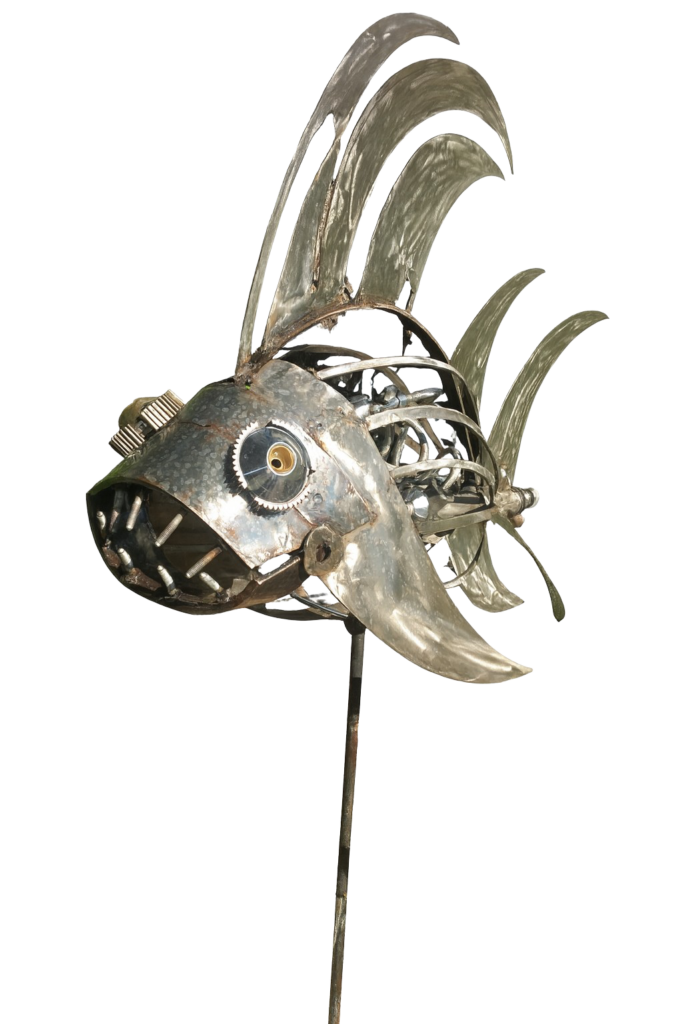 Poisson 4 – AMupcycling