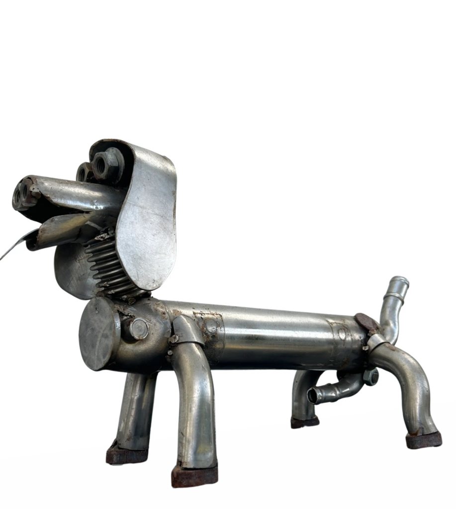 Un Teckel Parmis les Chats